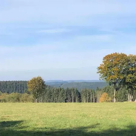 In The Heart Of The Ardennes Woods, Cleaning Included Holiday home