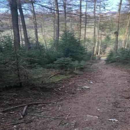 In The Heart Of The Ardennes Woods, Cleaning Included *