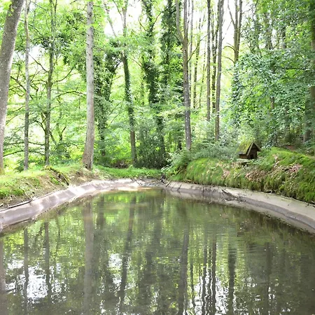 In The Heart Of The Ardennes Woods, Cleaning Included Dom wakacyjny