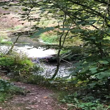 In The Heart Of The Ardennes Woods, Cleaning Included *